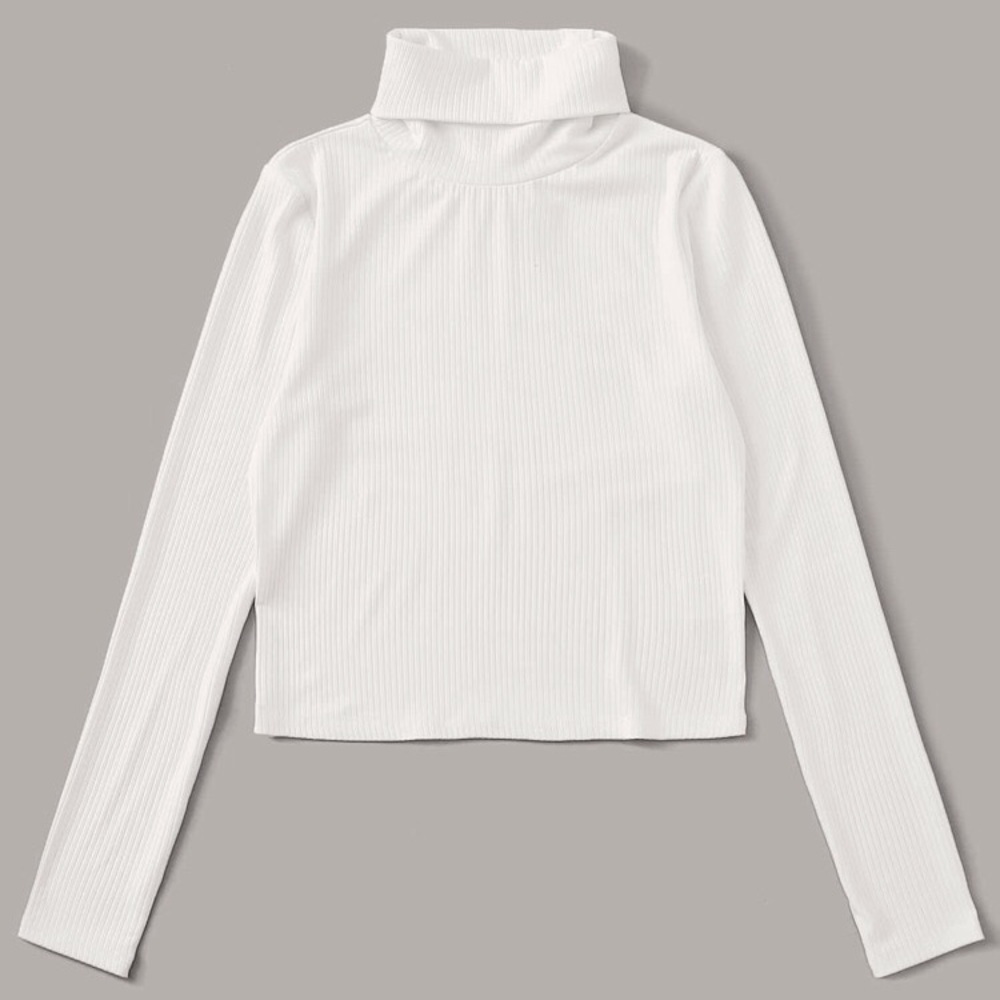 turtle neck rib neck